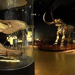 The State Museum of Pennsylvania