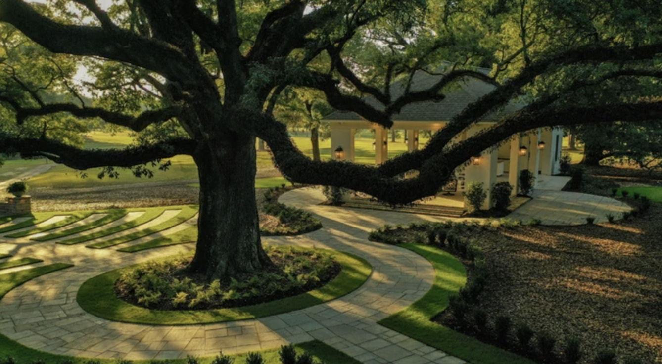 The Wedding Website of Alexis Brianna Berry and Michael Lee Volk
