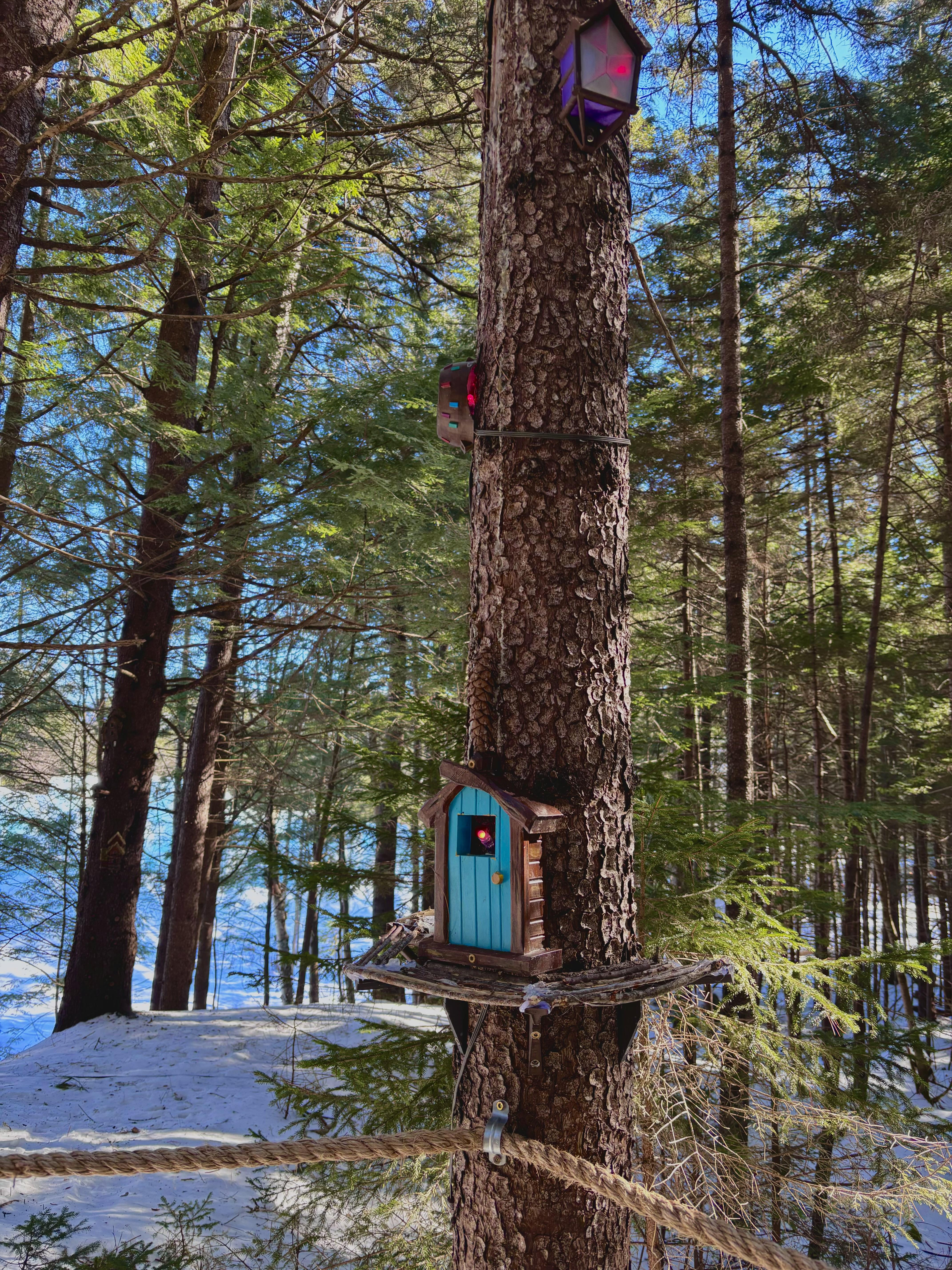 edced925-04ad-41ea-8030-d2e03f449f4d