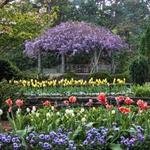 Duke Gardens