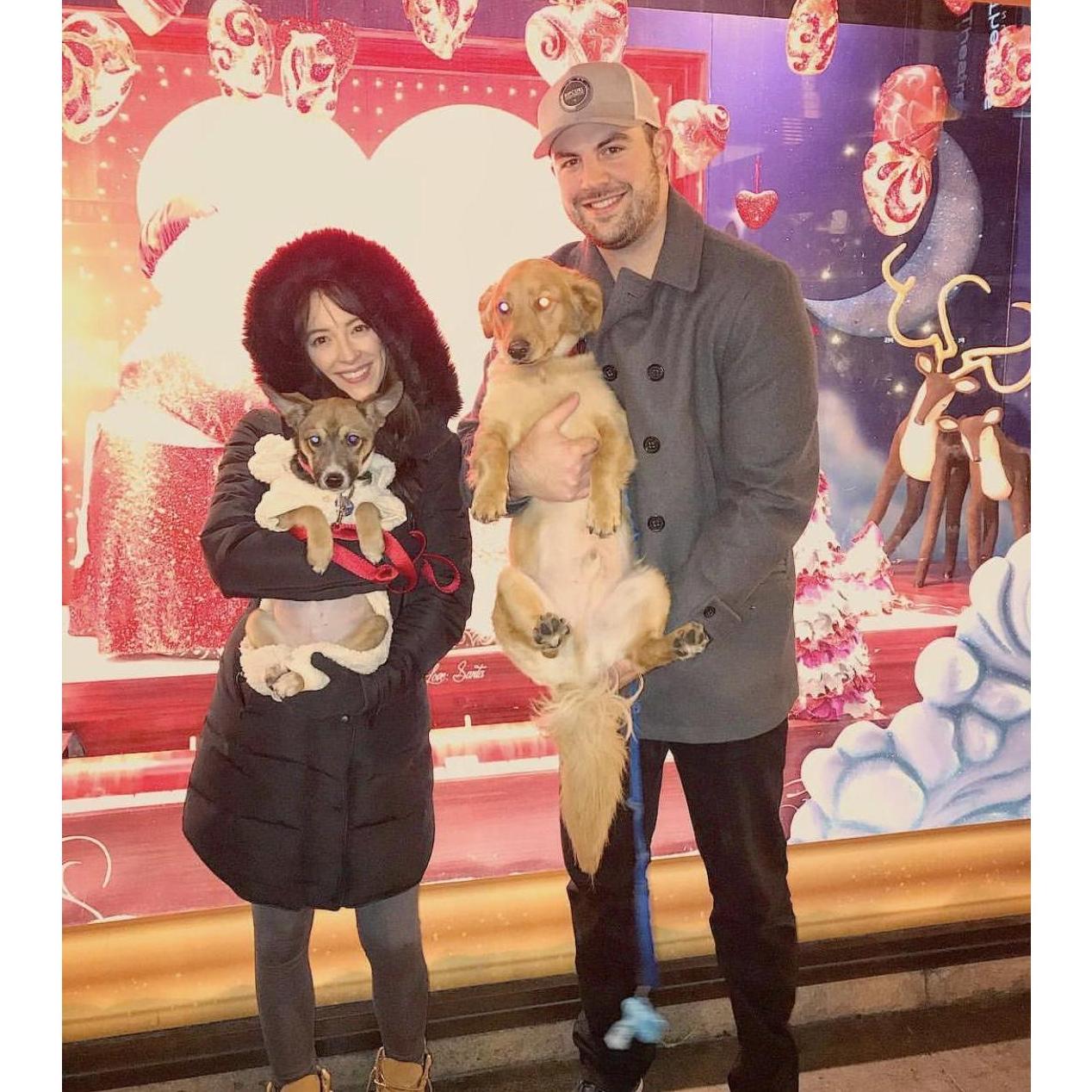 Adopted Camila! December 21, 2017