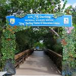 J.N. Ding Darling Wildlife Refuge