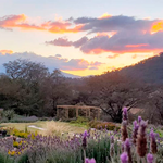 Jardines de Provenza Guatemala