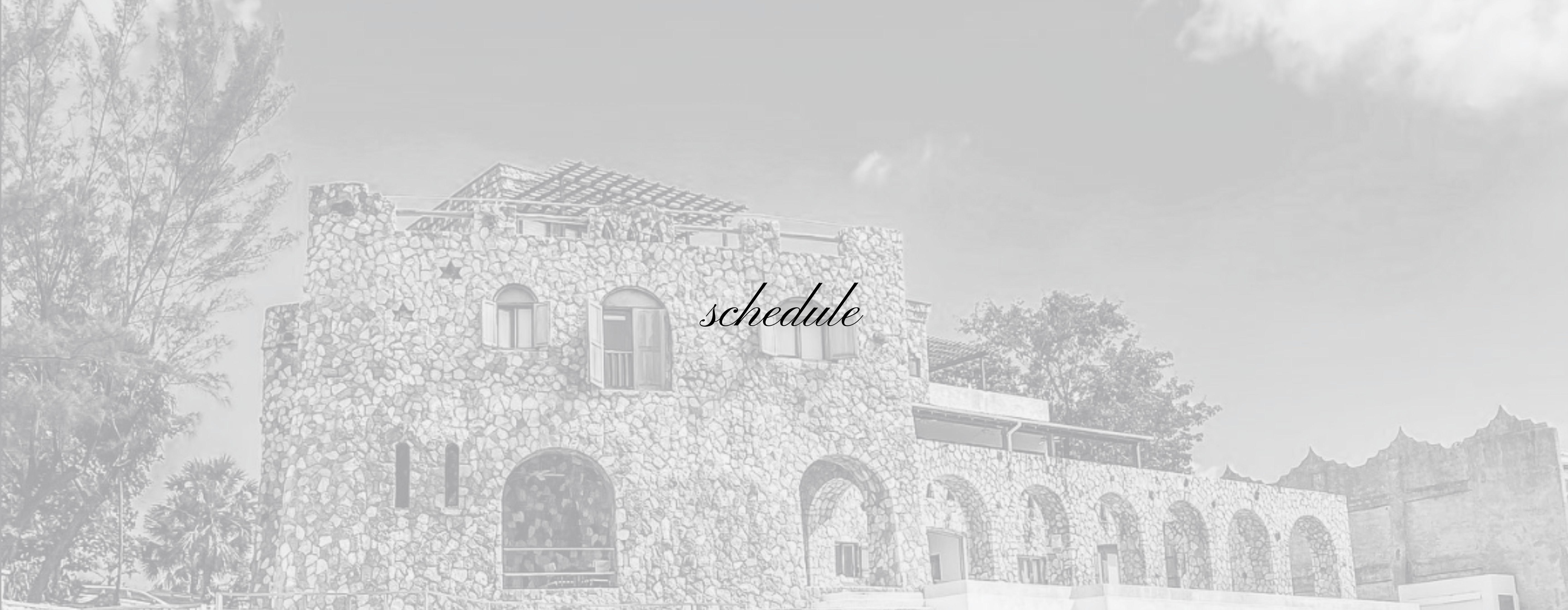 The Wedding Website of Czerise Villiers and Shannon Hanna