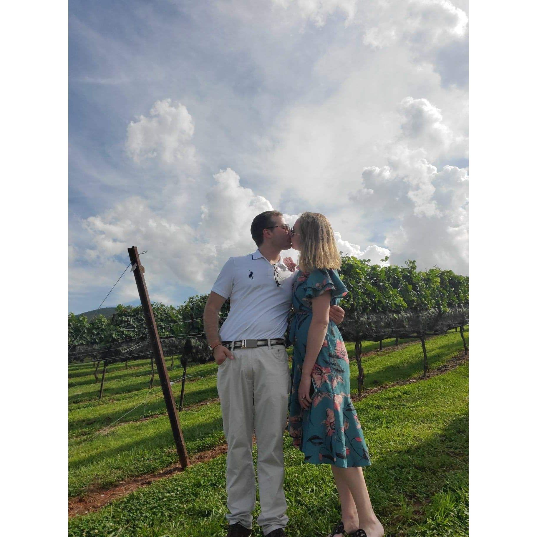 First real date at Yonah Mountain Vineyards