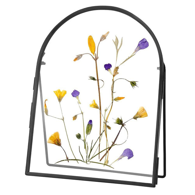 REDHUGO Double Glass Frame for Pressed Flowers Handmade, Metal Floating Picture Frame for Pressed Flower, Tabletop Display, Brass, ArcShaped, Black, 6x8 inches (FRAME ONLY)
