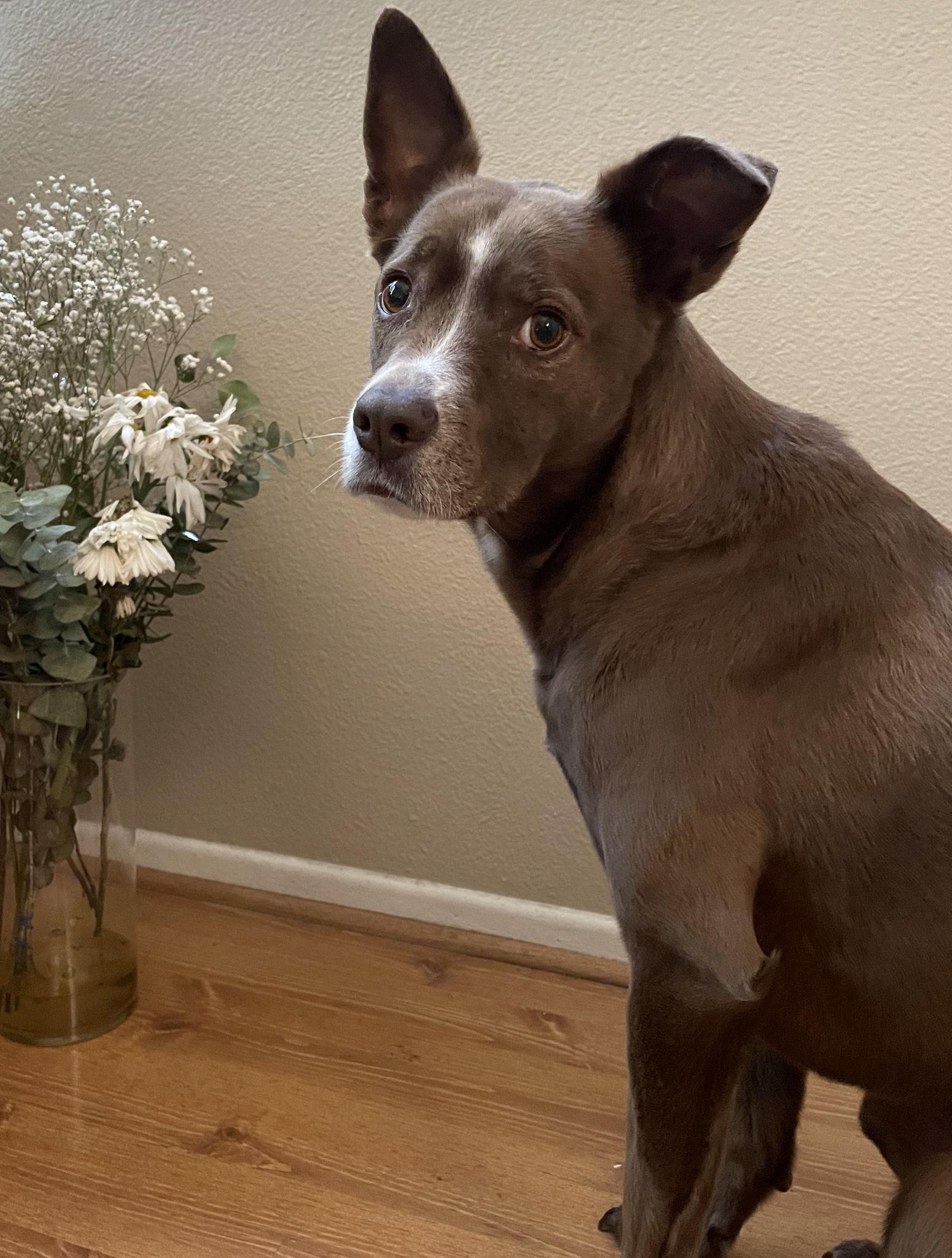 The Wedding Website of Preston Cole and Amy Hulse