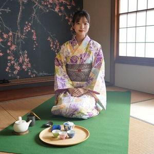 Tea Tasting in Hakone, Japan