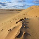 Silver Lake Sand Dunes