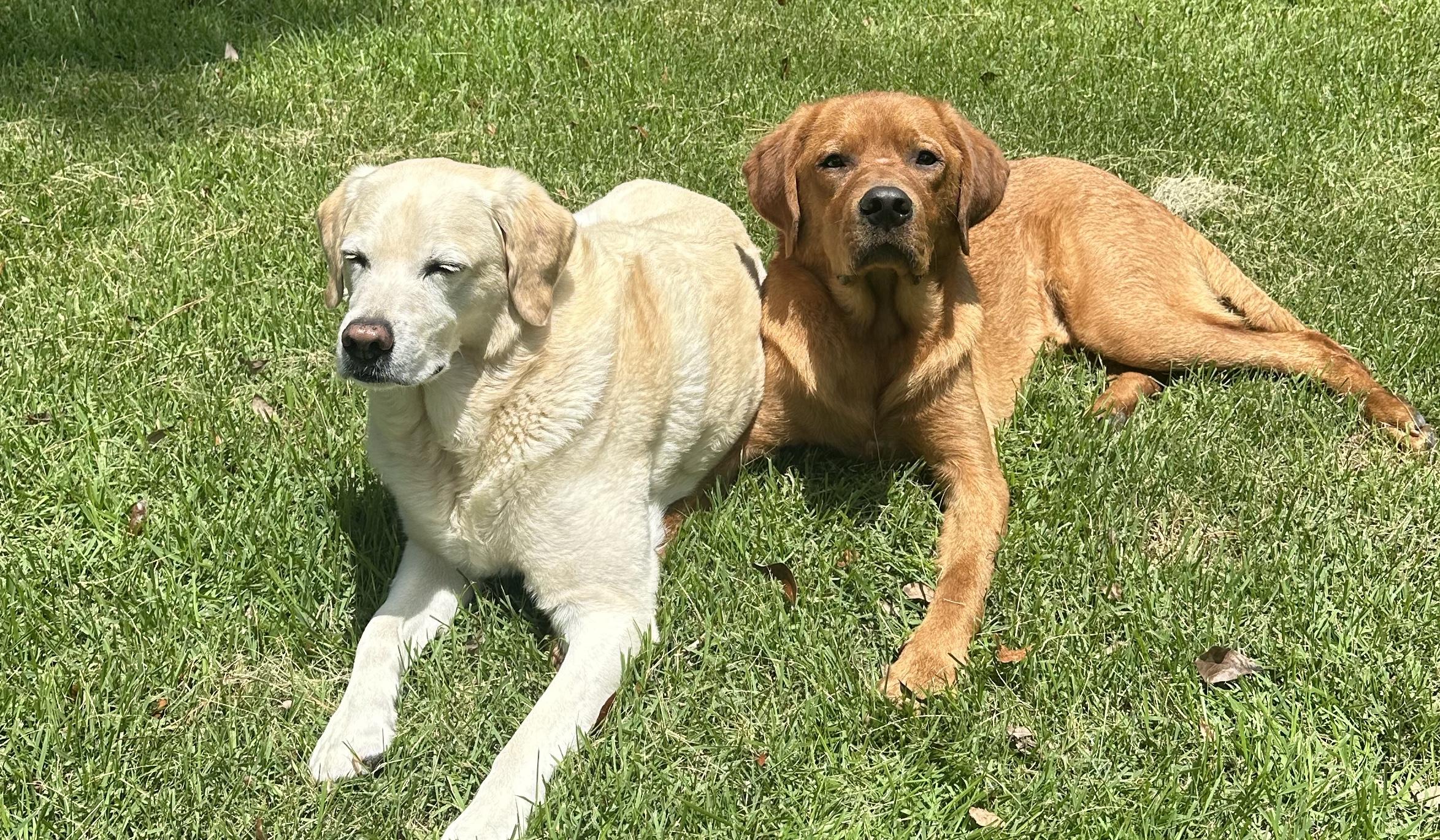 edda7e8c-8502-4142-b038-efd62d8fb978