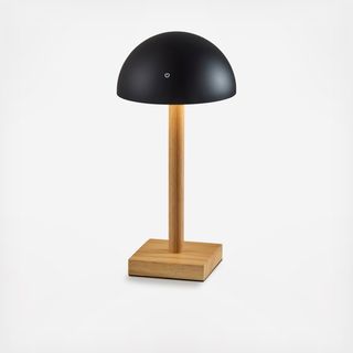 Nash LED Cordless Table Lamp