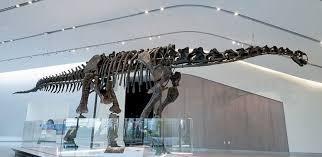 The Wedding Website of Amber Rose Thomas and Nicholas Joseph Curtis