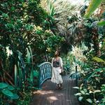 Frederik Meijer Gardens