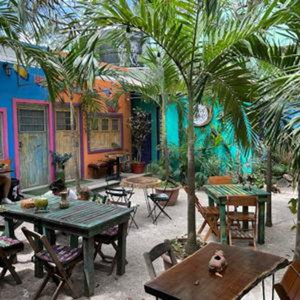 Lunch at Restaurant Tierra (Vegan)