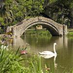 City Park