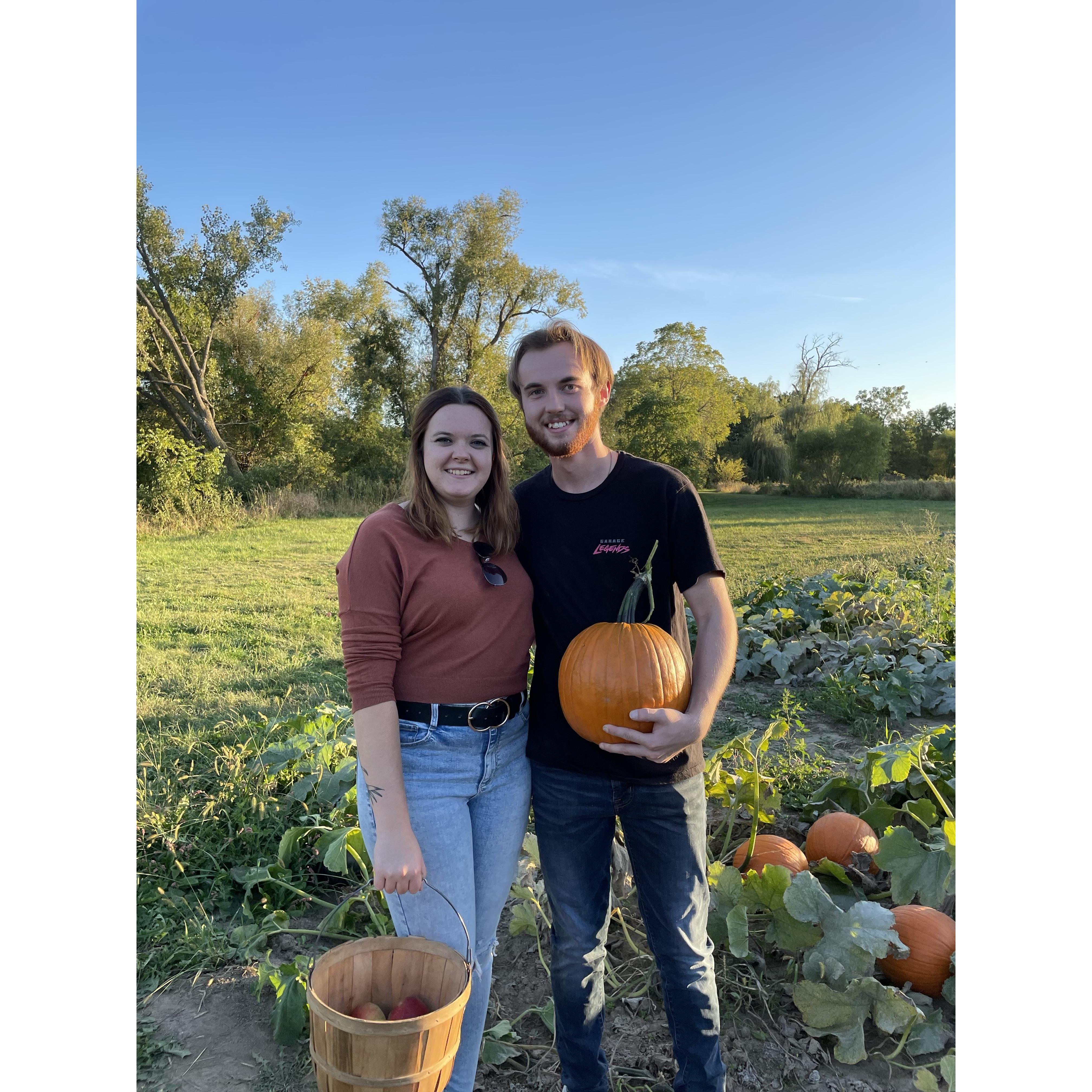 Our first pumpkin patch!