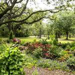 Mead Botanical Garden