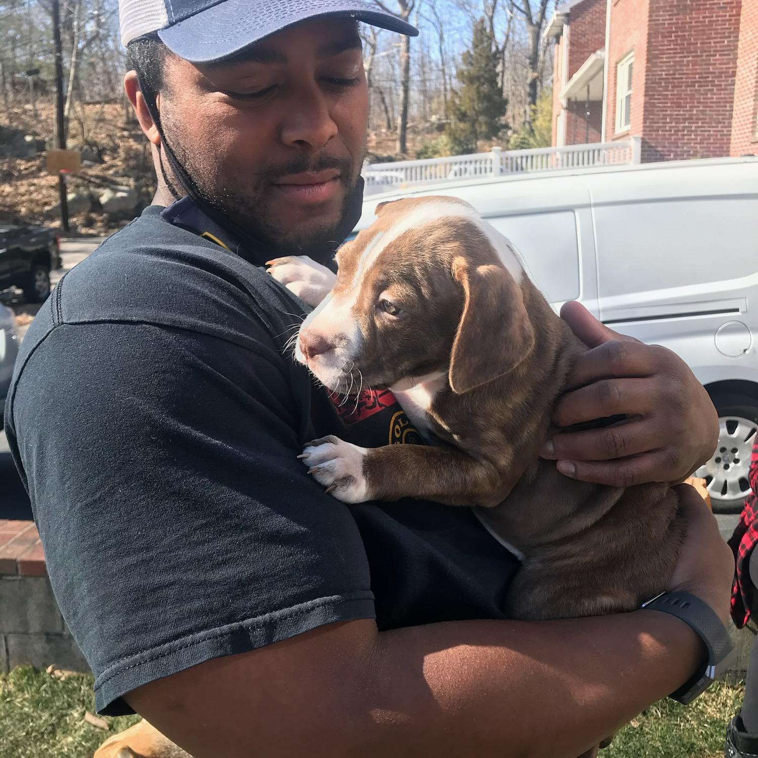 Adopting our baby, Schooner