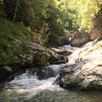 Laurel Creek Falls