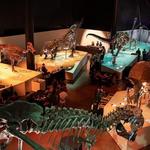 Houston Museum of Natural Science