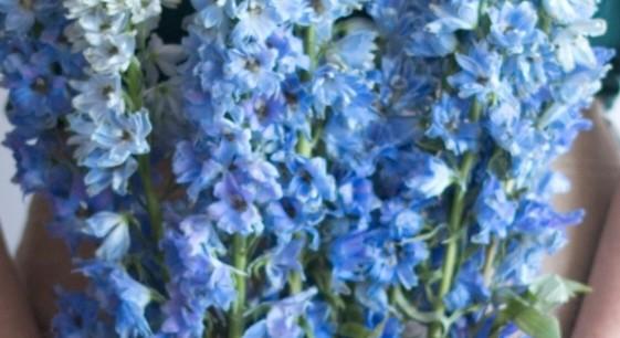 The Wedding Website of Kimberly Empfield and Michael Casey