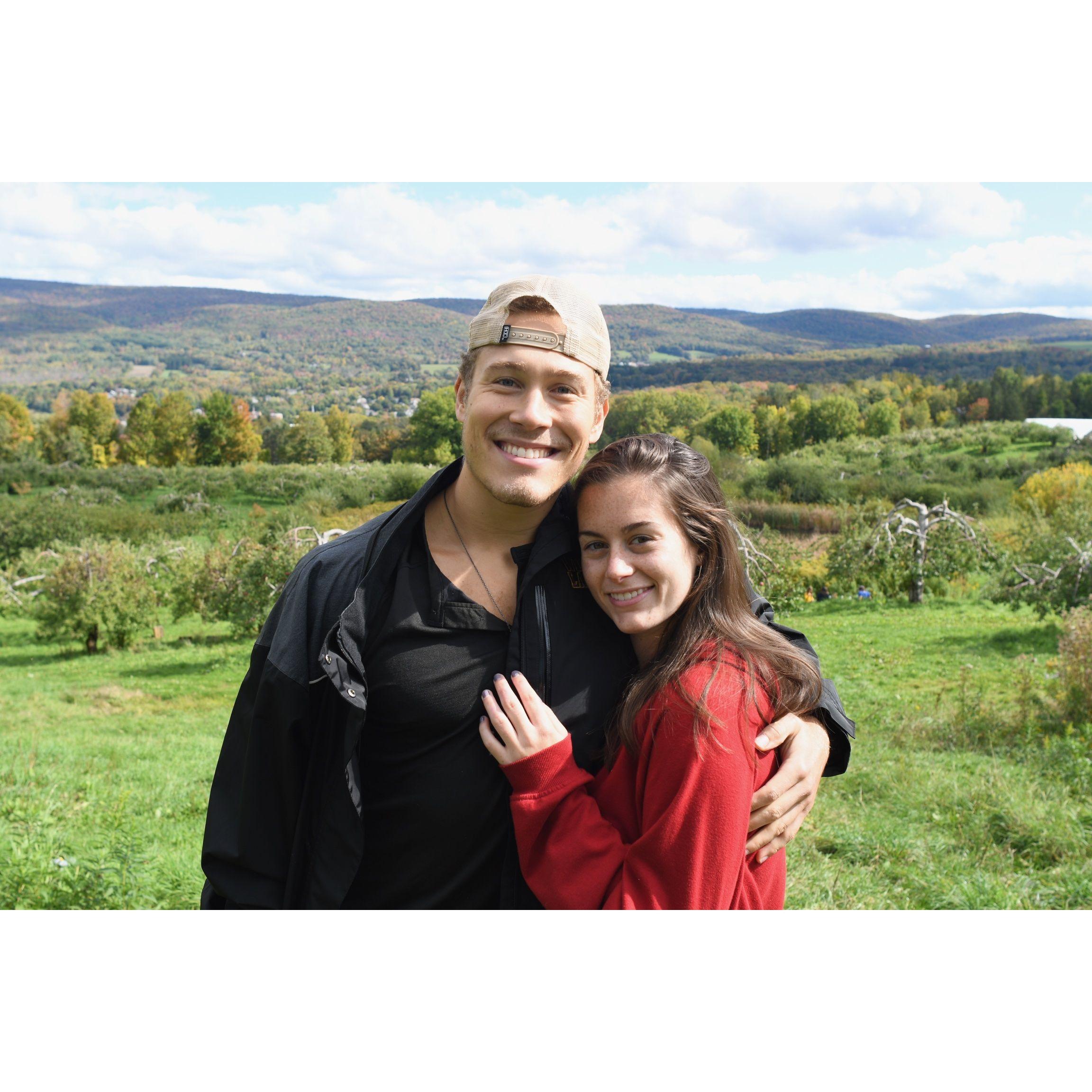 Apple picking in Williamstown