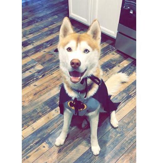 Batman! Our first Halloween in our home!