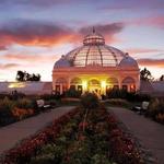 Buffalo and Erie County Botanical Gardens