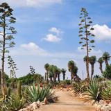 JARDIN // Botanicactus S.L.