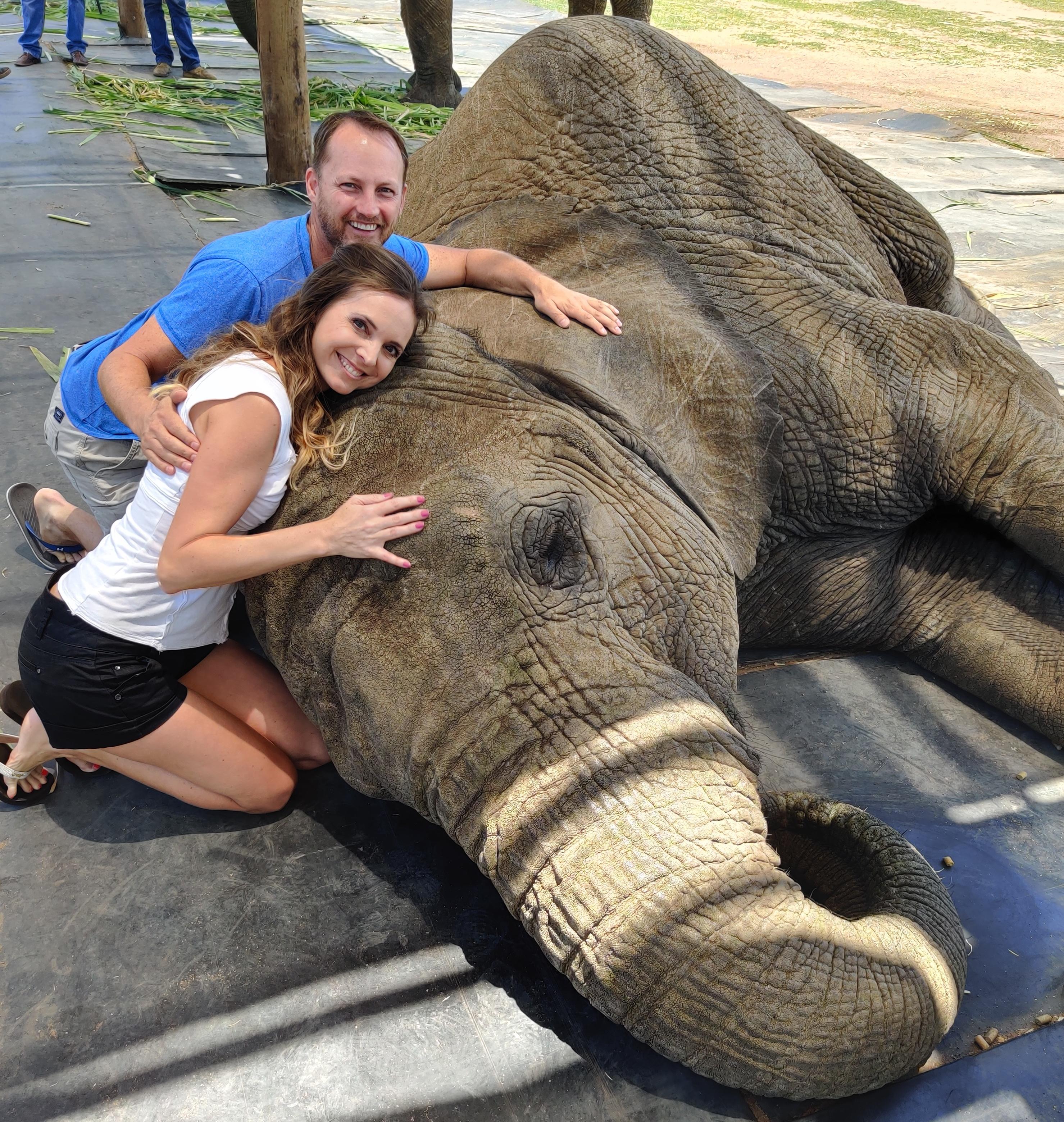 edf0f2e4-c76c-4664-8a44-f4862e7a4809