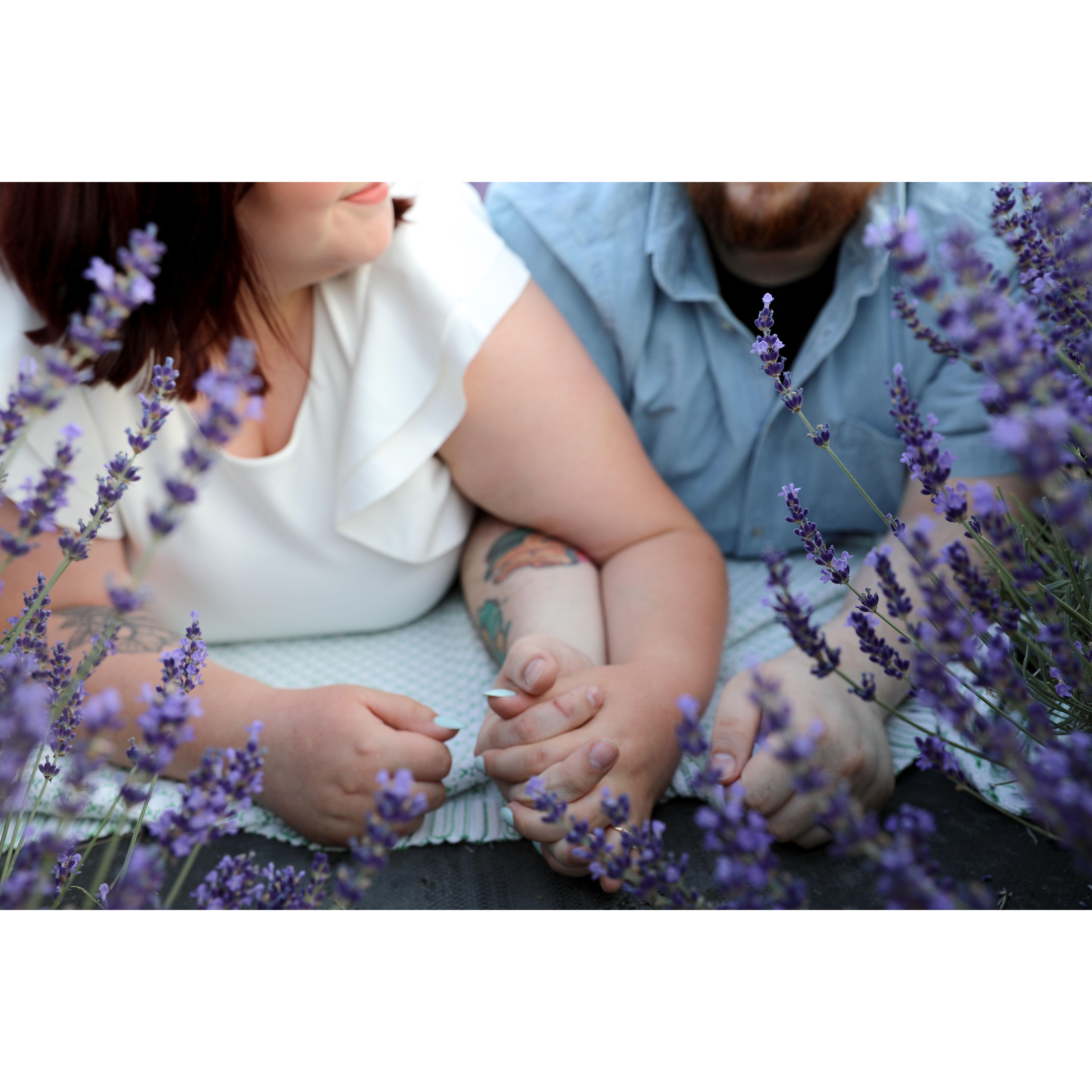 Engagement photoshoot at Sunset Ridge Lavender Farms. Photographer was Bloom Photography, LLC