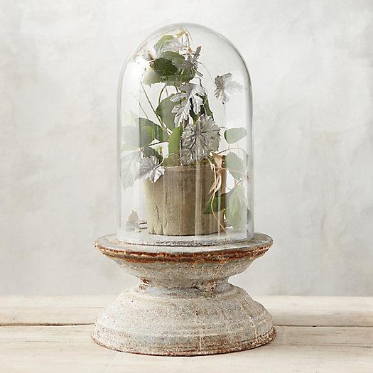 Weathered Iron Pedestal Cloche, Small
