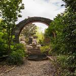 UNC Charlotte Botanical Gardens