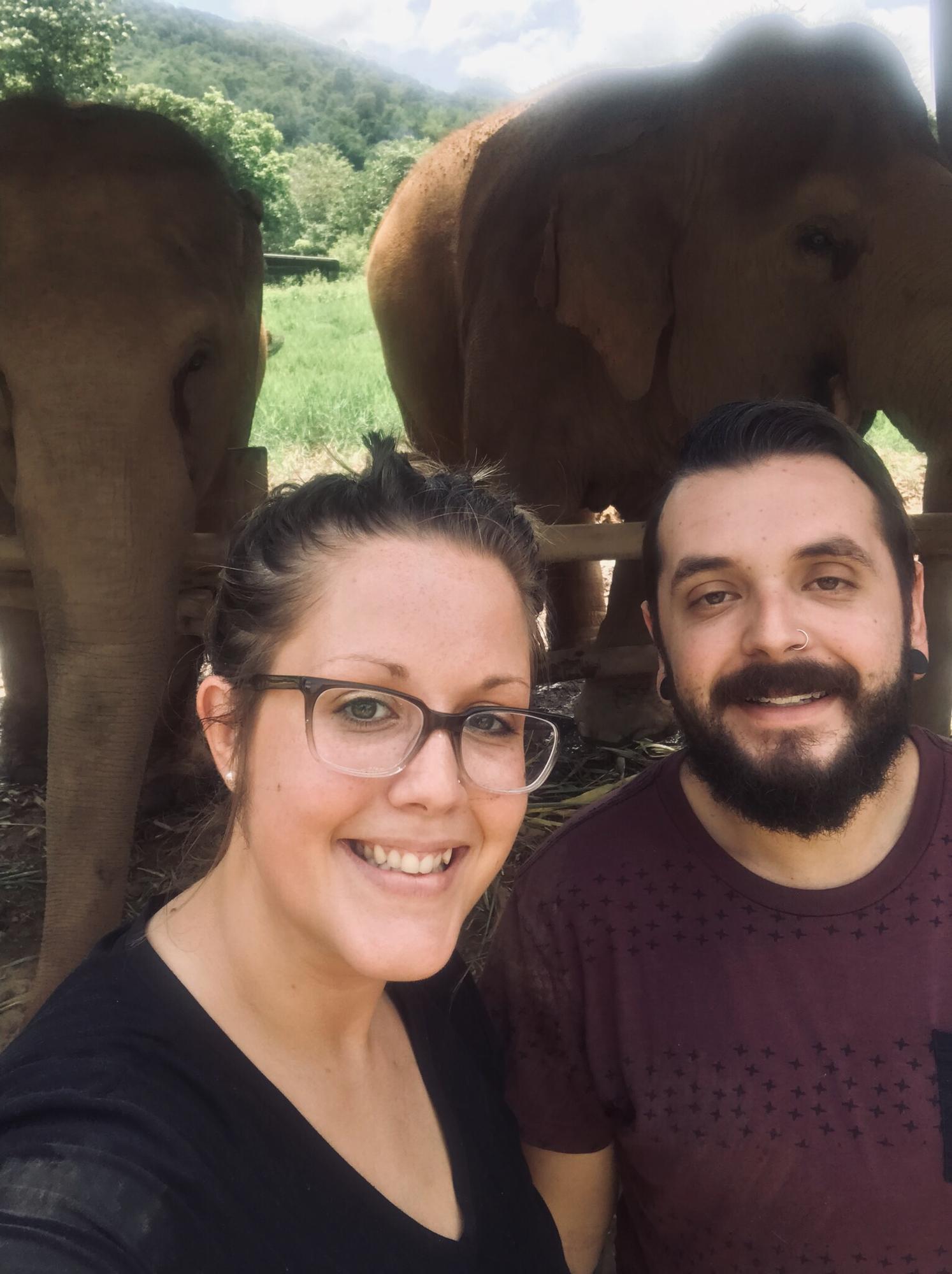 Elephant sanctuary in Chiangmai Mai Thailand