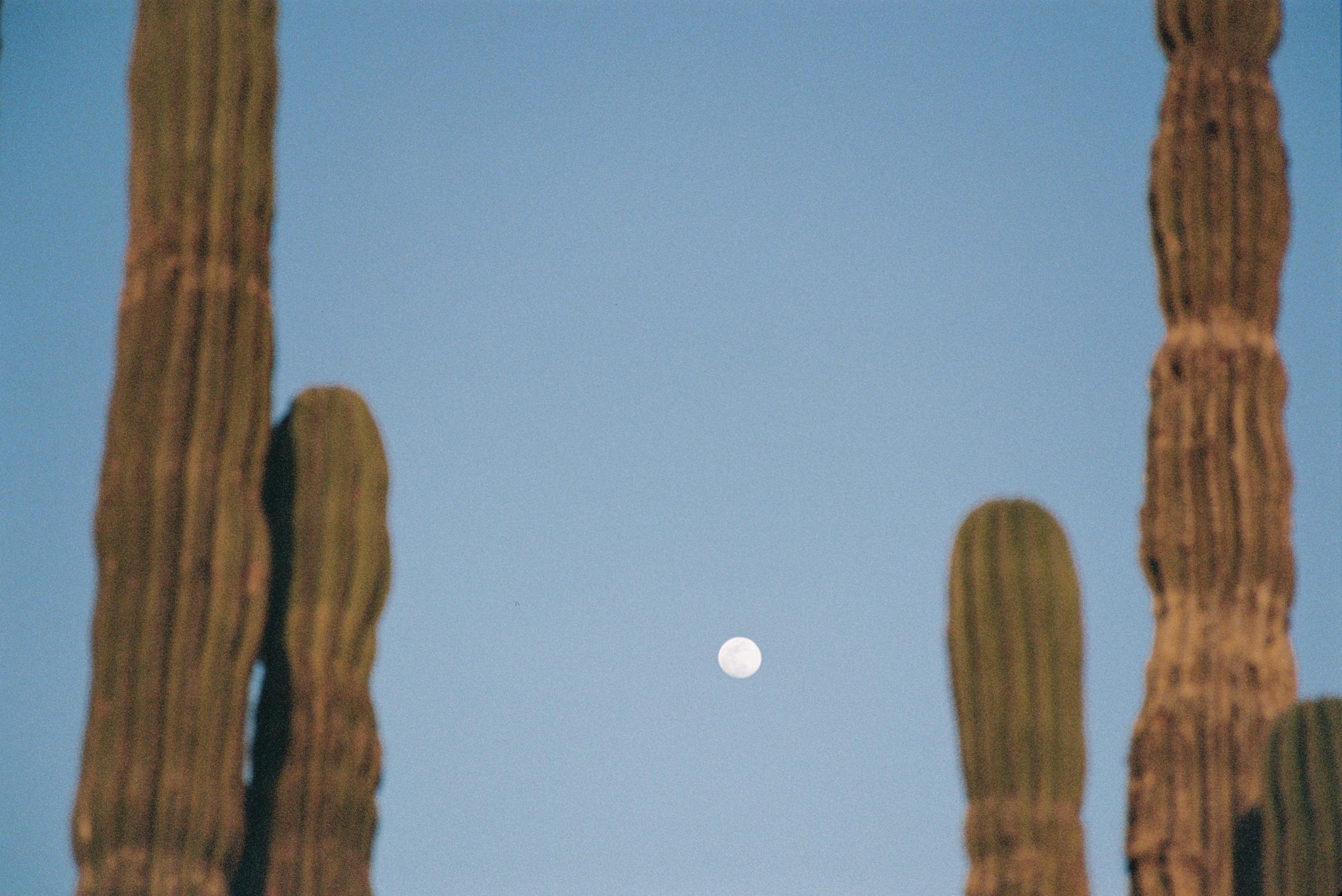 The Wedding Website of Brittney Austin and Christian Crayne