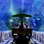 Downtown Aquarium