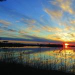 Grayton Beach State Park
