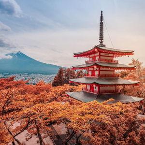 Honeymoon to Japan