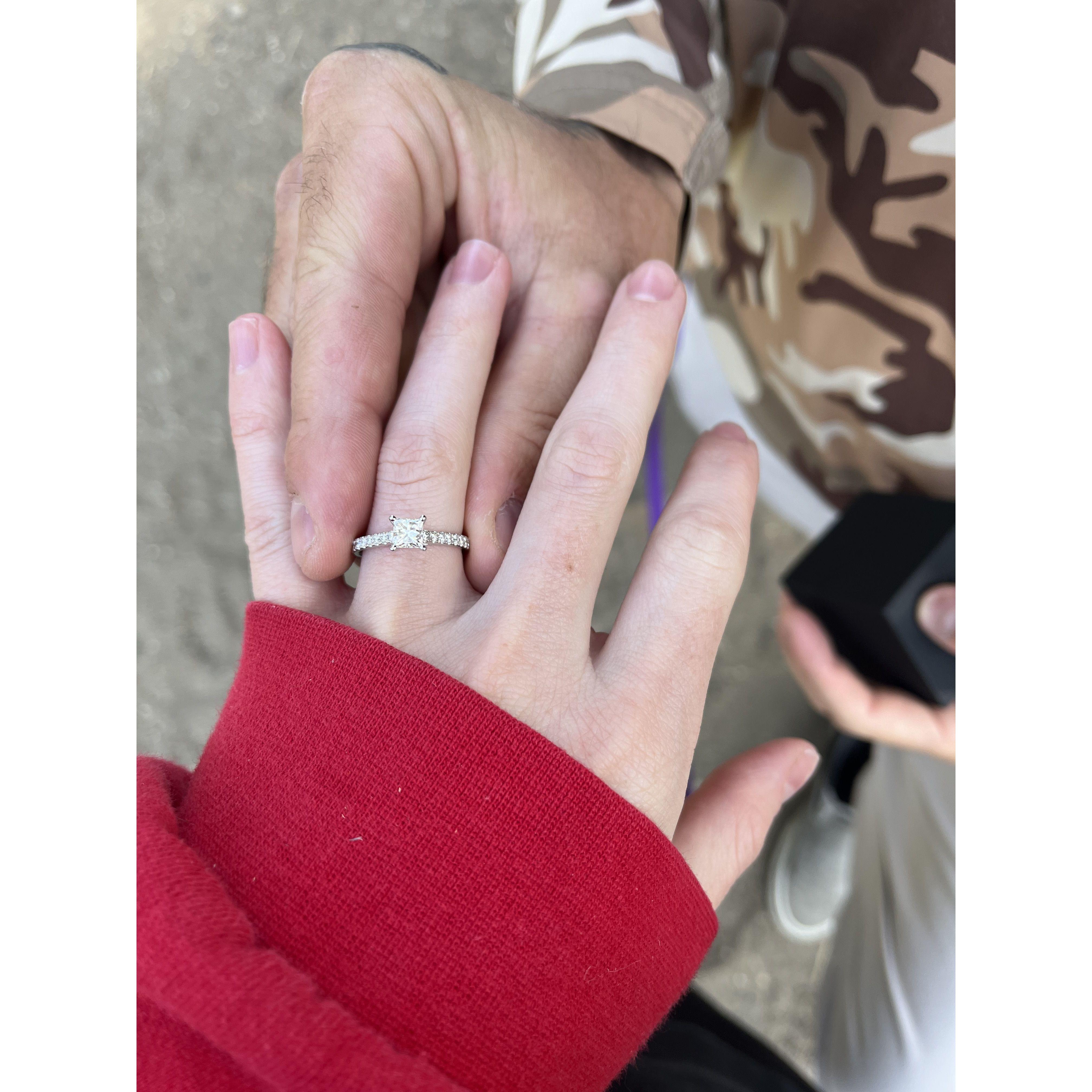 The proposal, October 14, 2023.