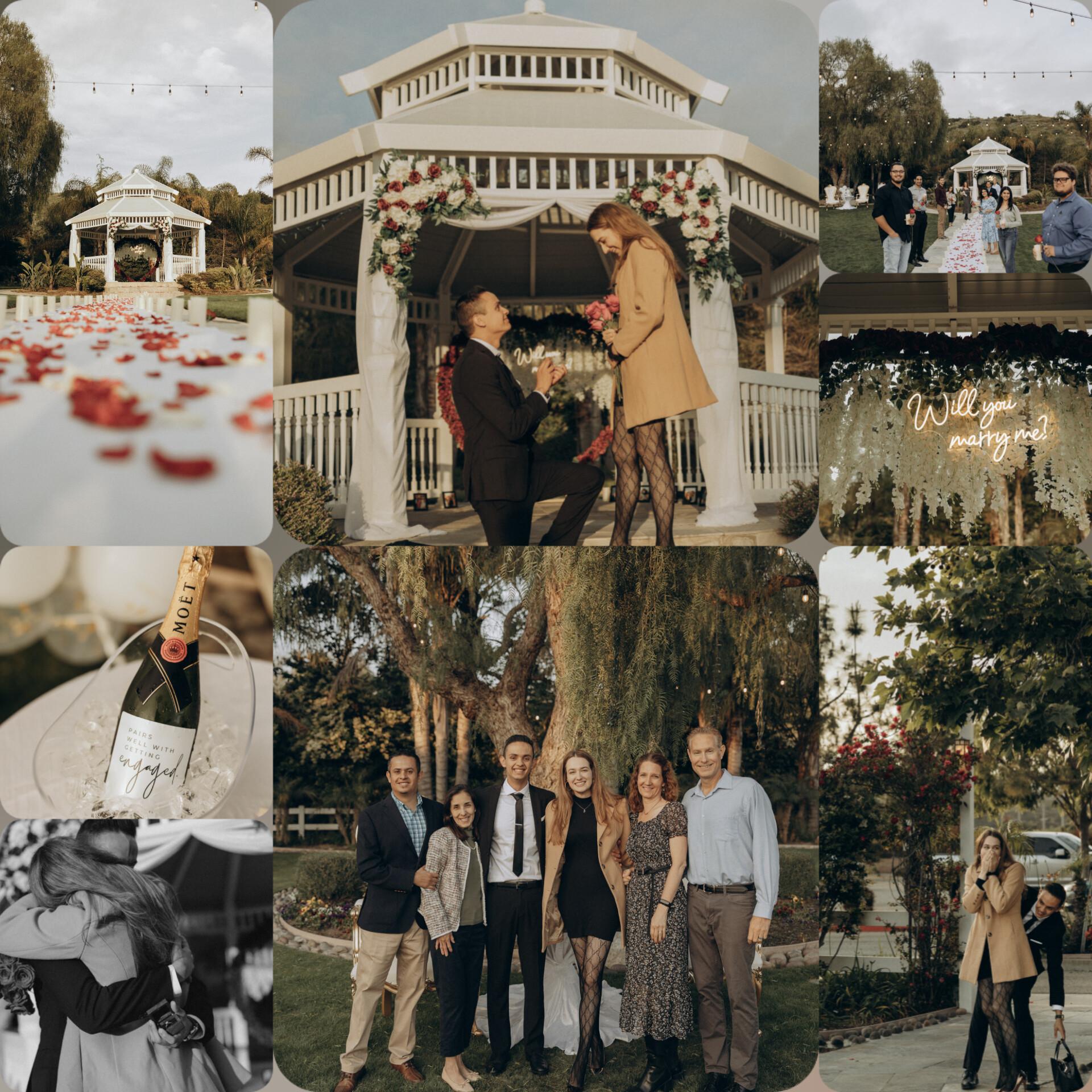Of course, everyone's favorite moment, over 6 years in the making - The proposal! / Por supuesto, el momento favorito de todos, despues de mas de 6 anos de espera: La propuesta!