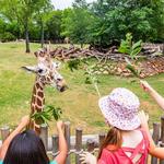 Fort Worth Zoo