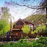 Drive up Mt. Lemmon to the Cookie Cabin.