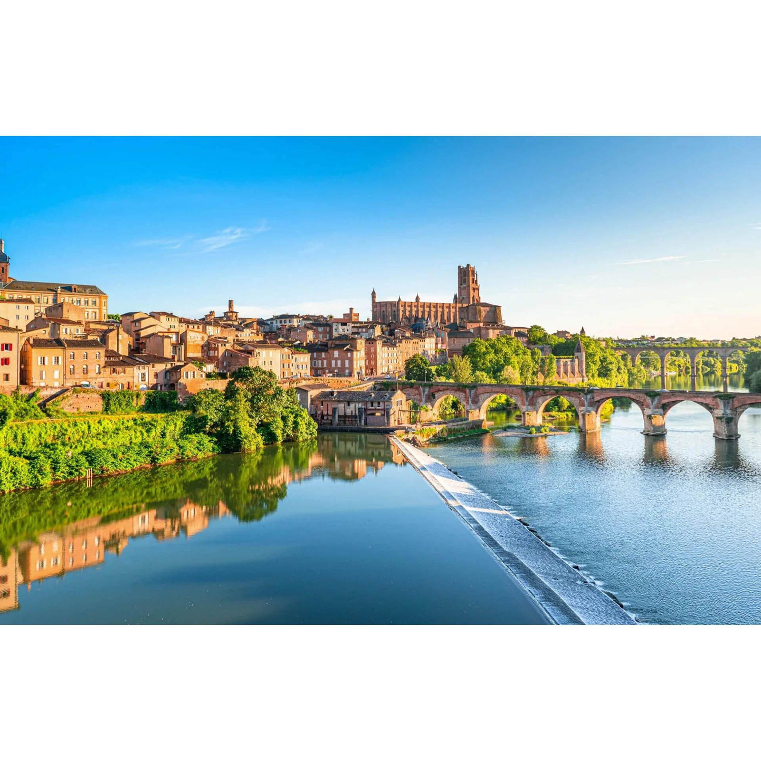Albi