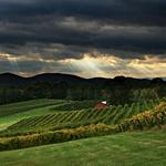 Three Sisters Vineyards & Winery