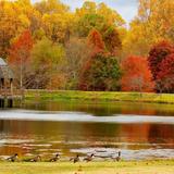 Meadowlark Botanical Gardens
