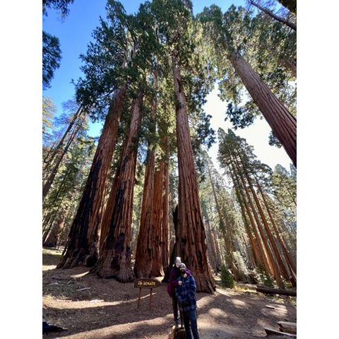 Sequoia National Park