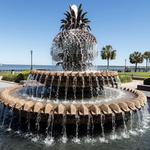Pineapple Fountain