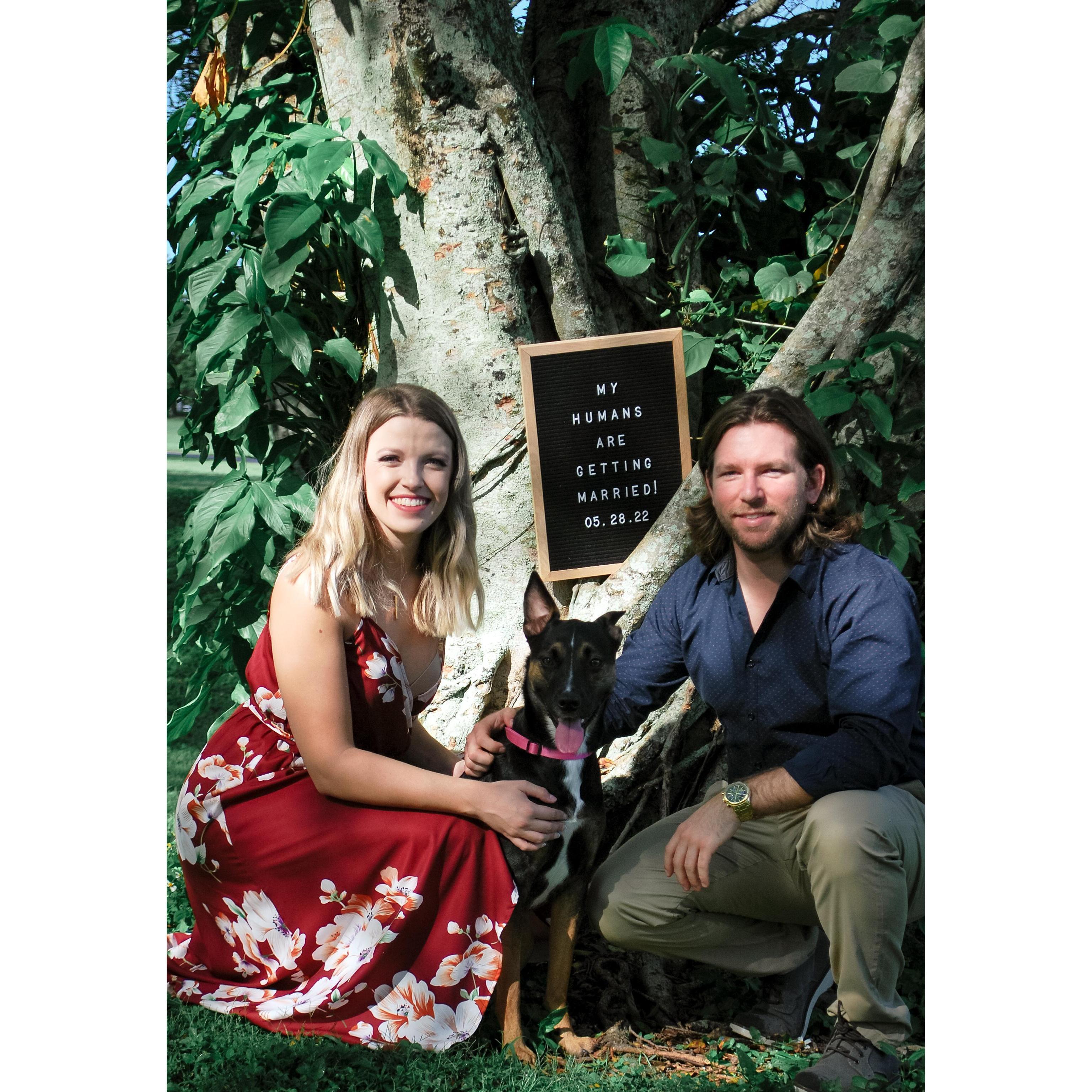 We had to include our Mia girl in our engagement photos!