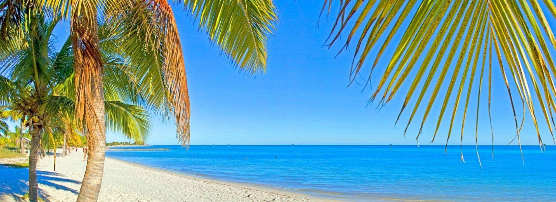 ee0b027c-39ab-464b-b6e9-fe351a61231c