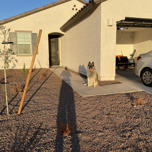 Our Home Renovation Fund